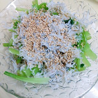 簡単 小松菜としらすの和え物 レシピ